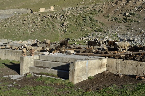 Развалины пансионата. Загон для овец.